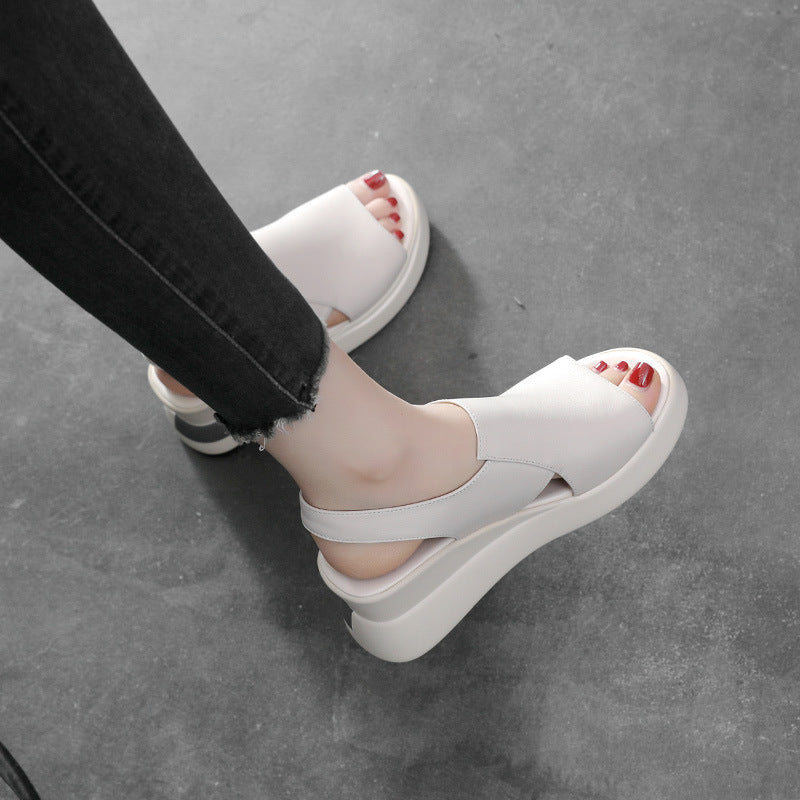 Summer New Style Fish Mouth Fashion Women's Shoes Platform High Heels Women